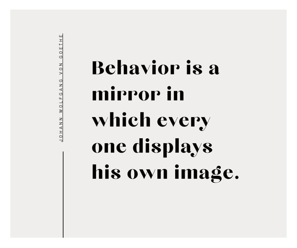 Behavior is a mirror Quote