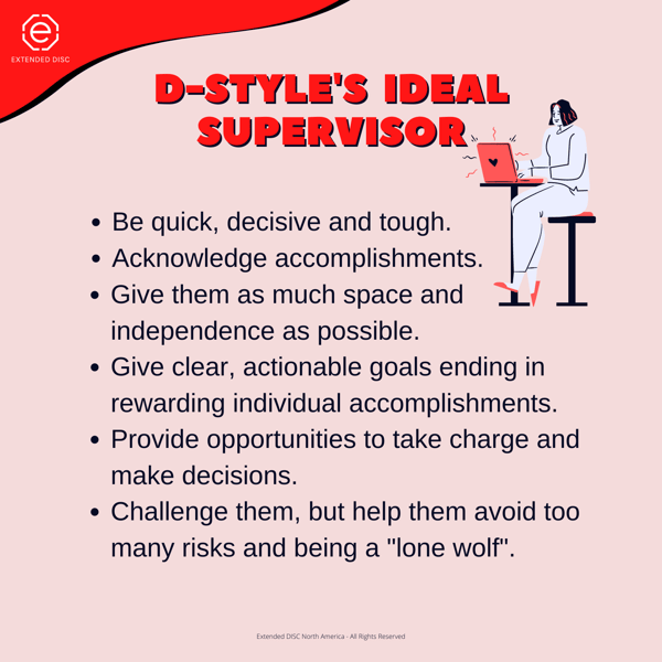 D-STYLE IDEAL SUPERVISOR