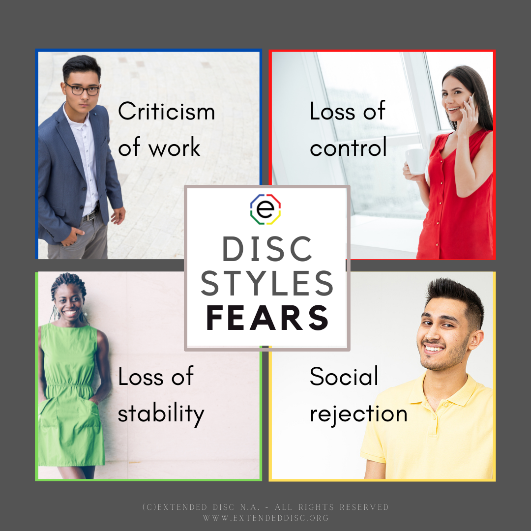 DISC STYLE FEARS