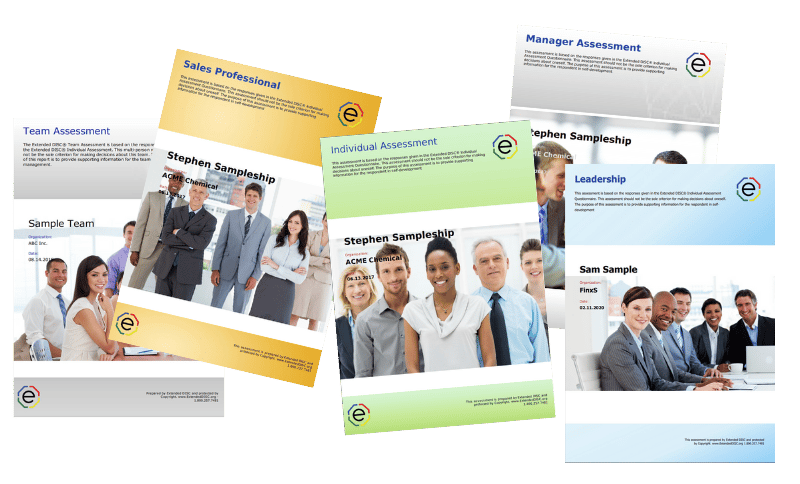 Extended DISC Reports-1