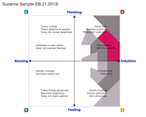 DISC Assessment Results: How You Act Under Pressure