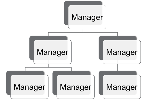 Manager Flow Chart