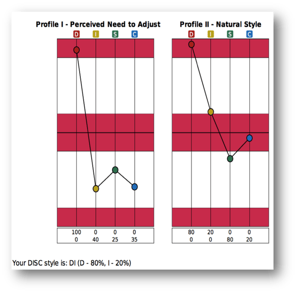 Extended DISC Profiles