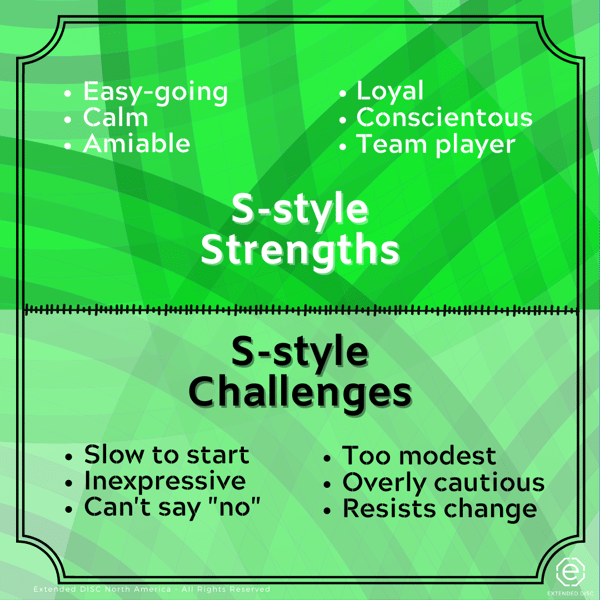 S-style behavioral strengths and challenges