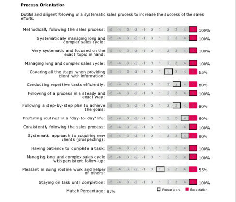 Extended DISC Sales 18 Assessment Sample page