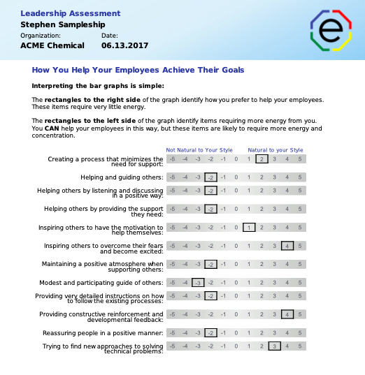 Extended DISC Leadership Assessment How to Help your employees achieve their goals section 