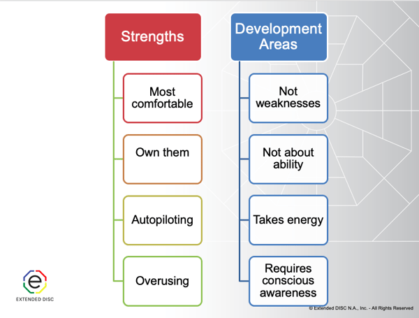 DISC Strengths and Development Area Overview Infographic slide