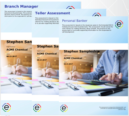 Extended DISC Financial Sector Assessments