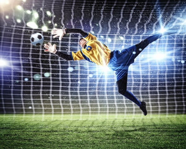 Goalkeeper catches the ball . At the stadium, in the spotlight.