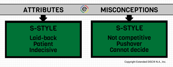 misconceptions S-styles